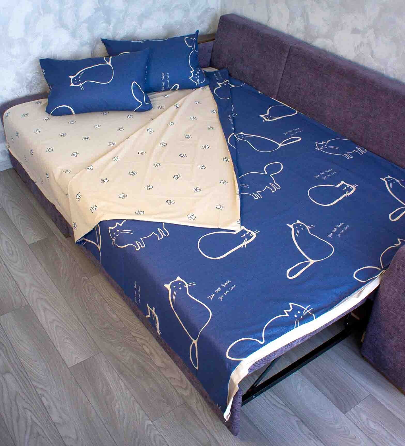 mycat-1-e1704577375643.jpg